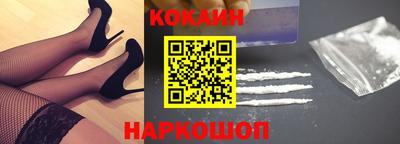 крисы Шебекино