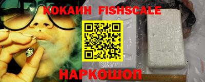 крисы Шебекино