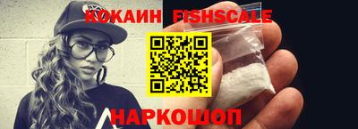 крисы Шебекино