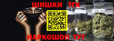 крисы Шебекино