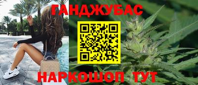 крисы Шебекино