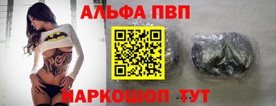 крисы Шебекино