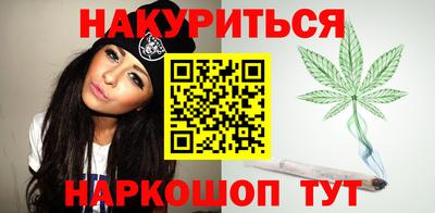 крисы Шебекино