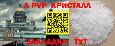 крисы Шебекино