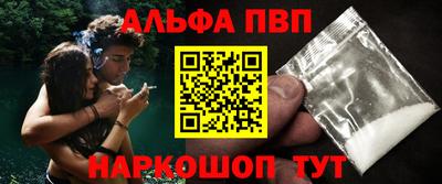 крисы Шебекино