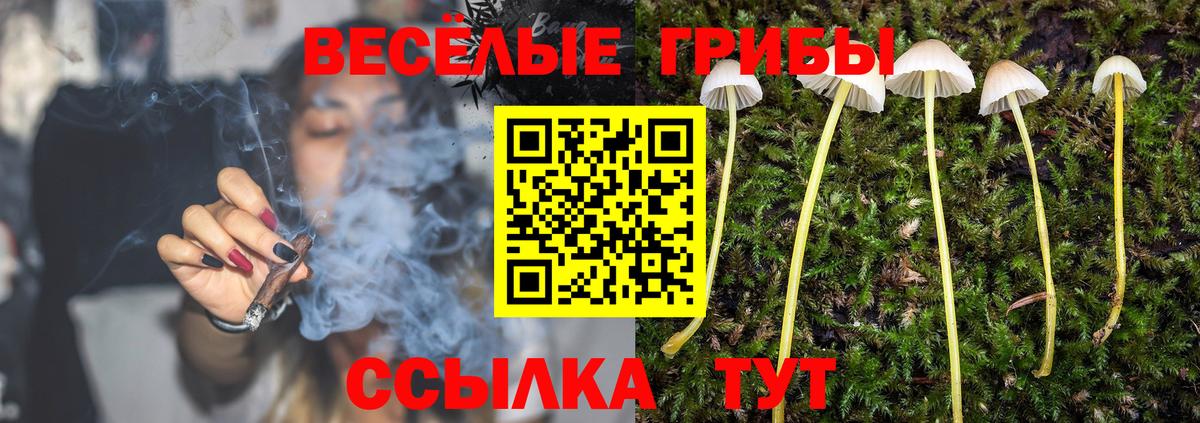 Галлюциногенные грибы GOLDEN TEACHER Баксан